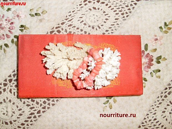 Камни для здоровья человека: кораллы для улучшения кровообращения, укрепления памяти и заживления ран